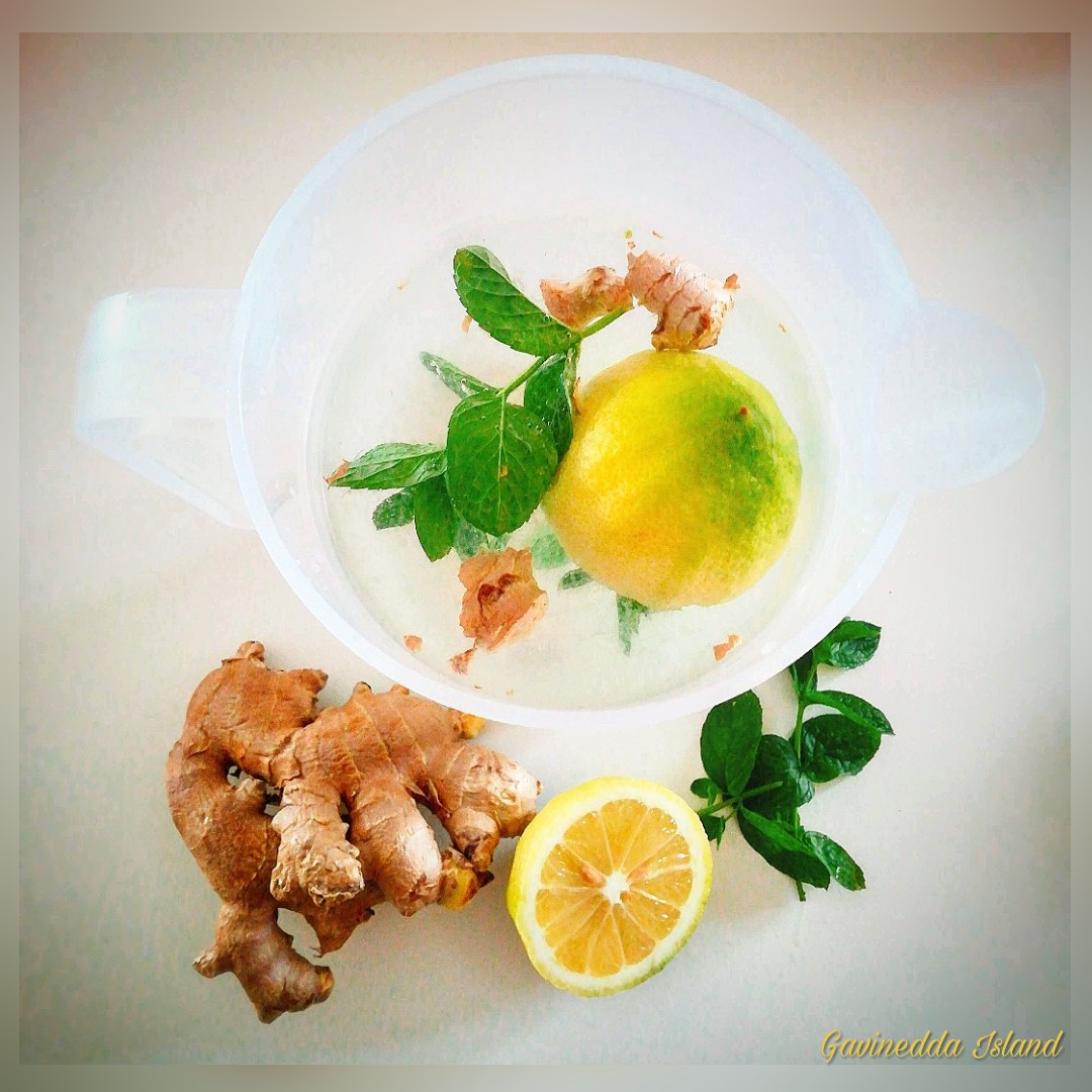 Acqua aromatizzata zenzero, limone e menta - Gavinedda Island