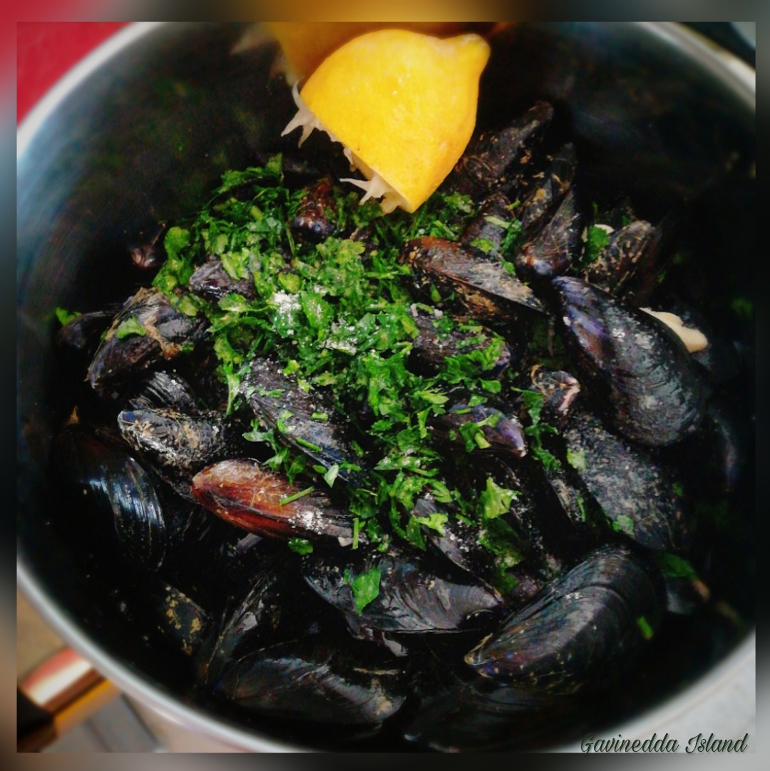 Cozze - Gavinedda Island